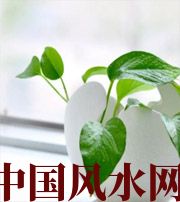 攀枝花家中摆放六种吉祥物，会打开您的财运大门！